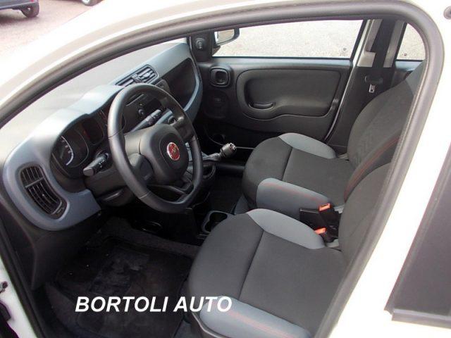 FIAT Panda 1.2 35.000 KM EASY IDONEA PER NEOPATENTATI