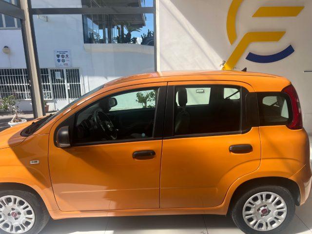 FIAT Panda 1.2 EasyPower TUA A SOLI 110 EURO MENSILI