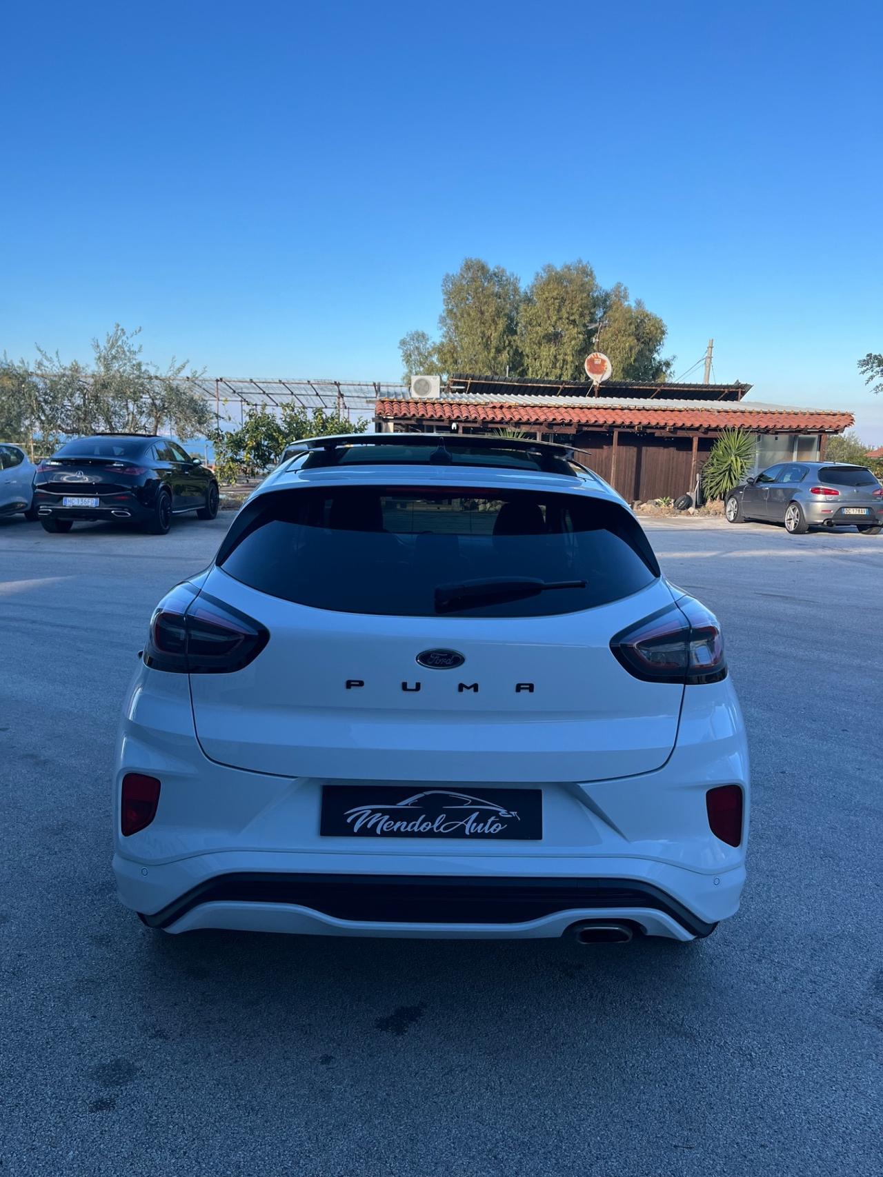 Ford Puma 1.5 EcoBlue 120 CV S&S ST-Line