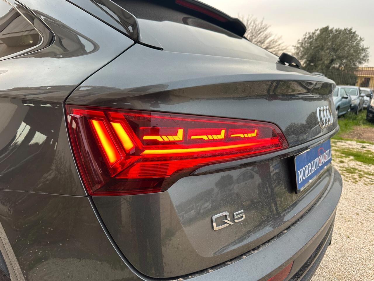 AUDI Q5 SPB 50 TDI Quattro TipTronic S-LINE PLUS del 2021 MildHybrid