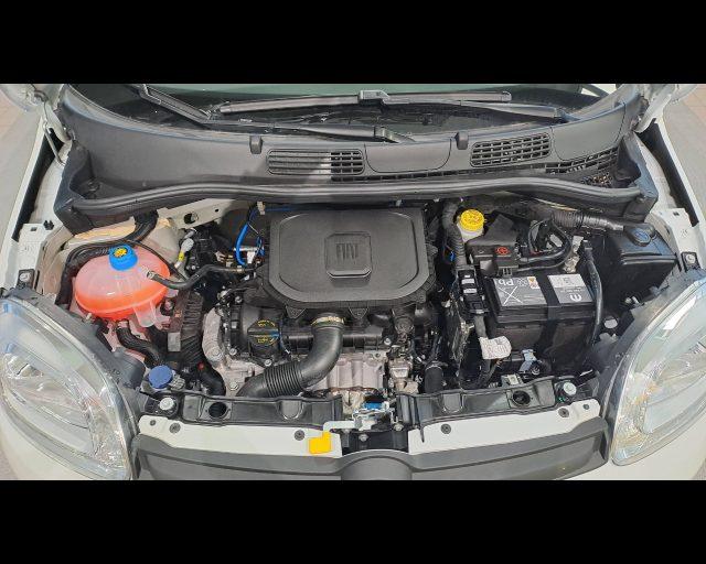 FIAT Panda 1.0 firefly hybrid Icon s&s 70cv