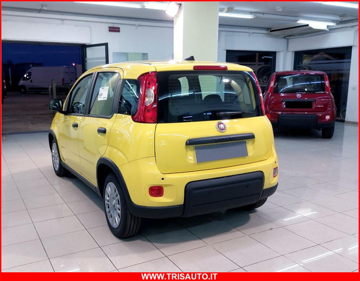 FIAT Panda 1.0 FireFly S&S Hybrid MY24 KM ZERO!!! IVATA NEOPATENTATI