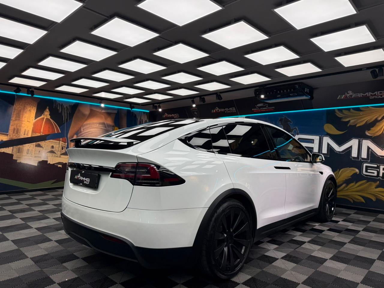 Tesla Model X LONG RANGE (329)