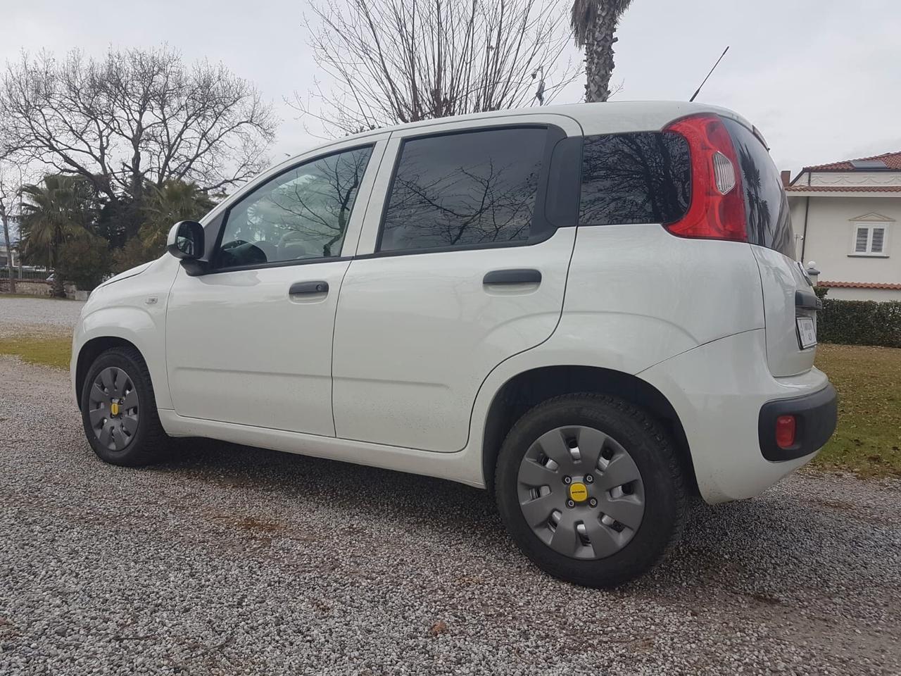 Fiat Panda 1.3 MJT 80 CV S&S Easy