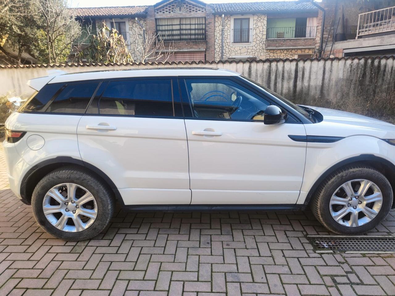 Land Rover Range Rover Evoque Range Rover Evoque 2.0 TD4 150 CV 5p. Business Edition Pure