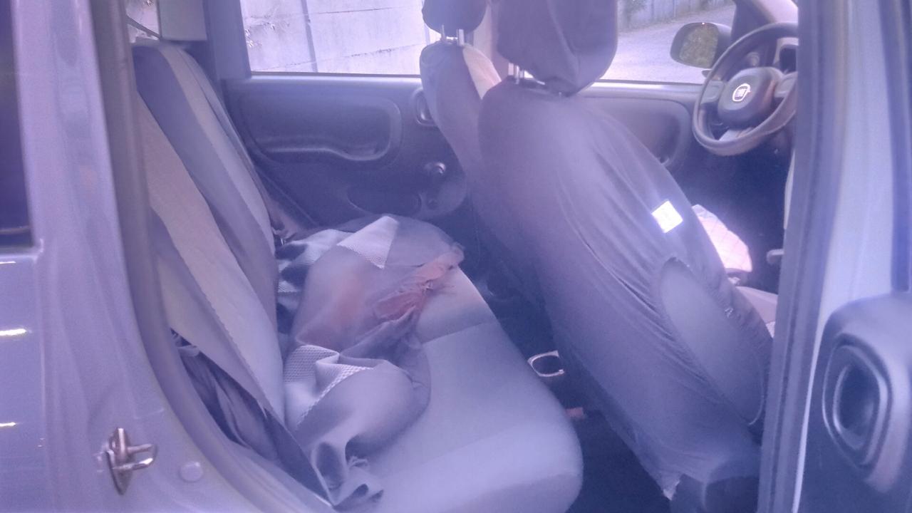 Fiat Panda 1.0 FireFly S&S Hybrid 2022 neopatentati