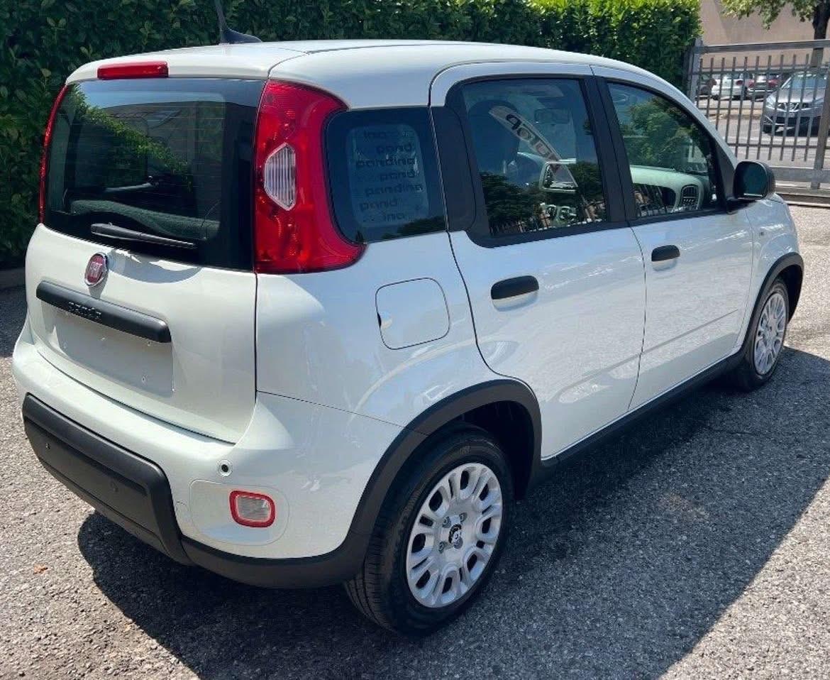 Fiat Panda 1.0 FireFly S&S Hybrid AUTO A NOLEGGIO