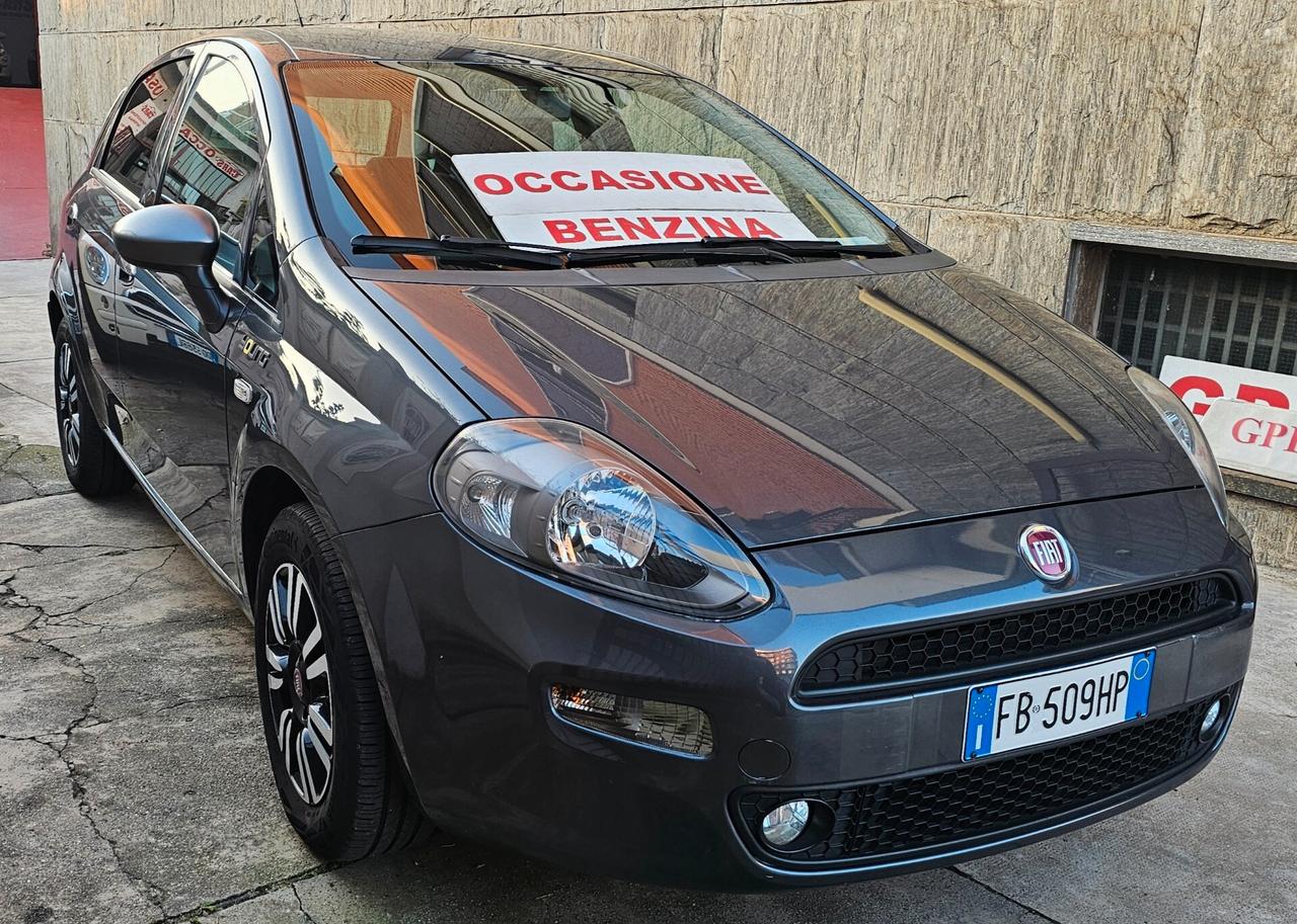 Fiat Punto 1.2 8V 5 porte Young