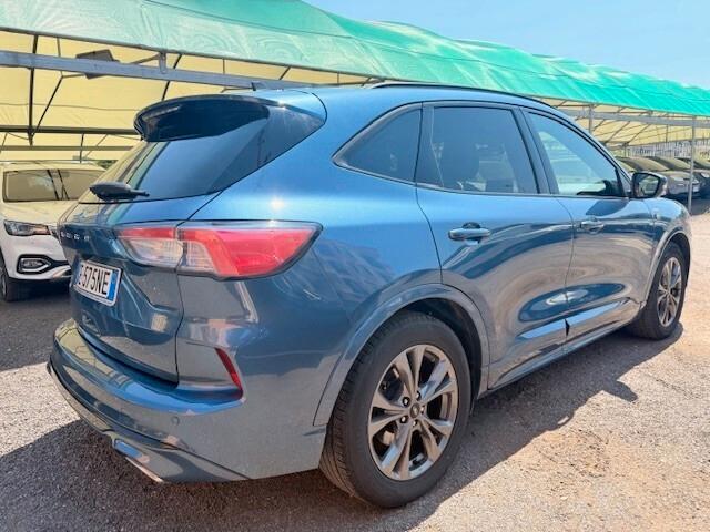 Ford Kuga 1.5 EcoBlue 120 CV aut. 2WD ST-Line N1