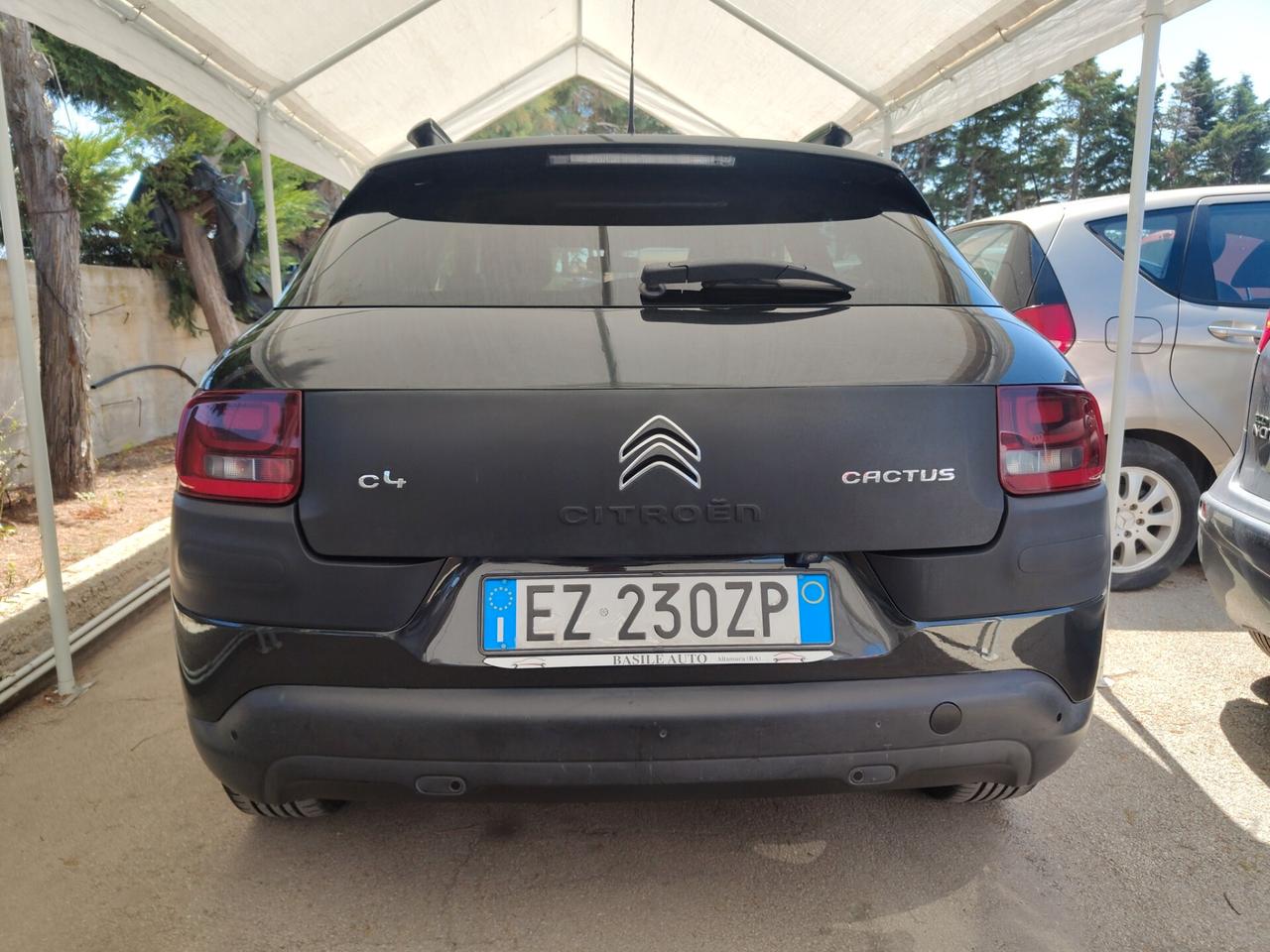 Citroen C4 Cactus 1.6 BlueHDi 100cv S&S Shine