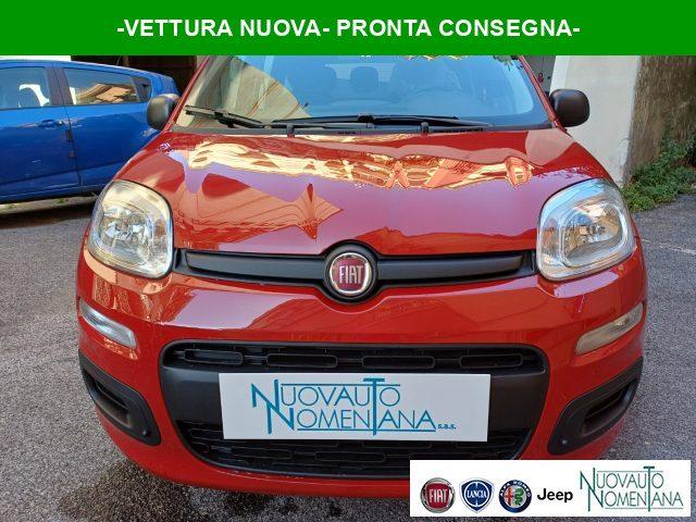FIAT Panda 1.0 FireFly S&S Hybrid Icon 5°Posto Auto Nuova