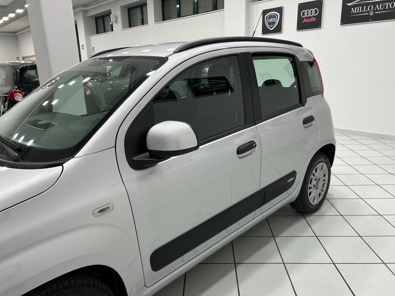 Fiat Panda 1.2cc 69cv EASY UNICO PROPRIETARIO