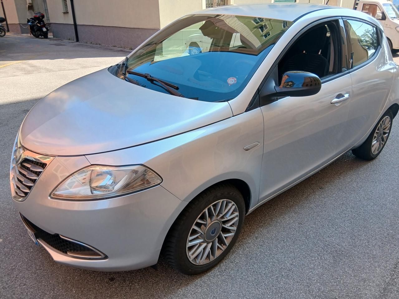 Lancia Ypsilon 1.2 69 CV 5 porte S&S Platinum