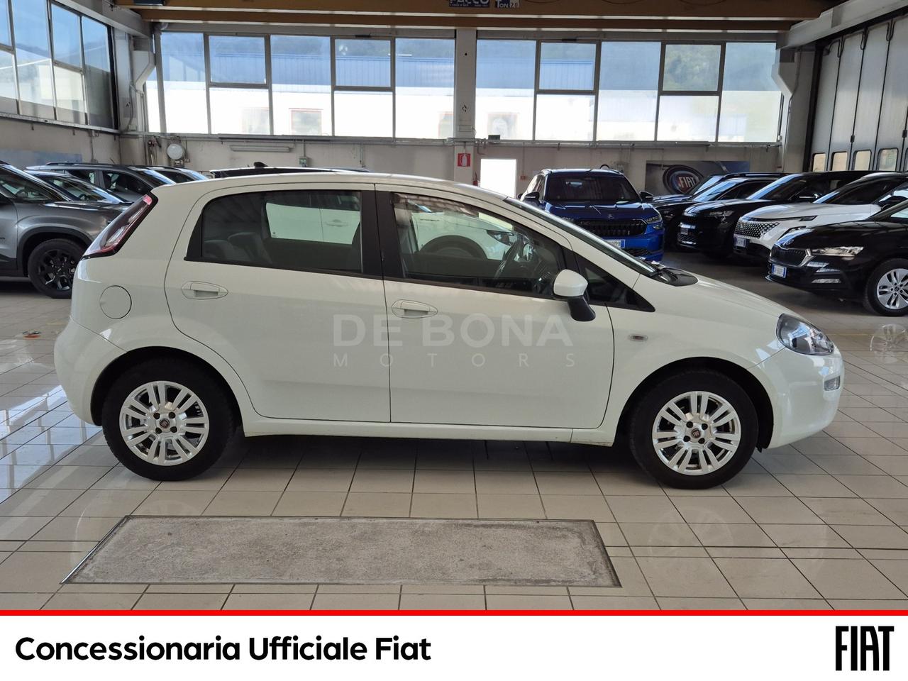 Fiat Punto 5p 1.2 street (easy)