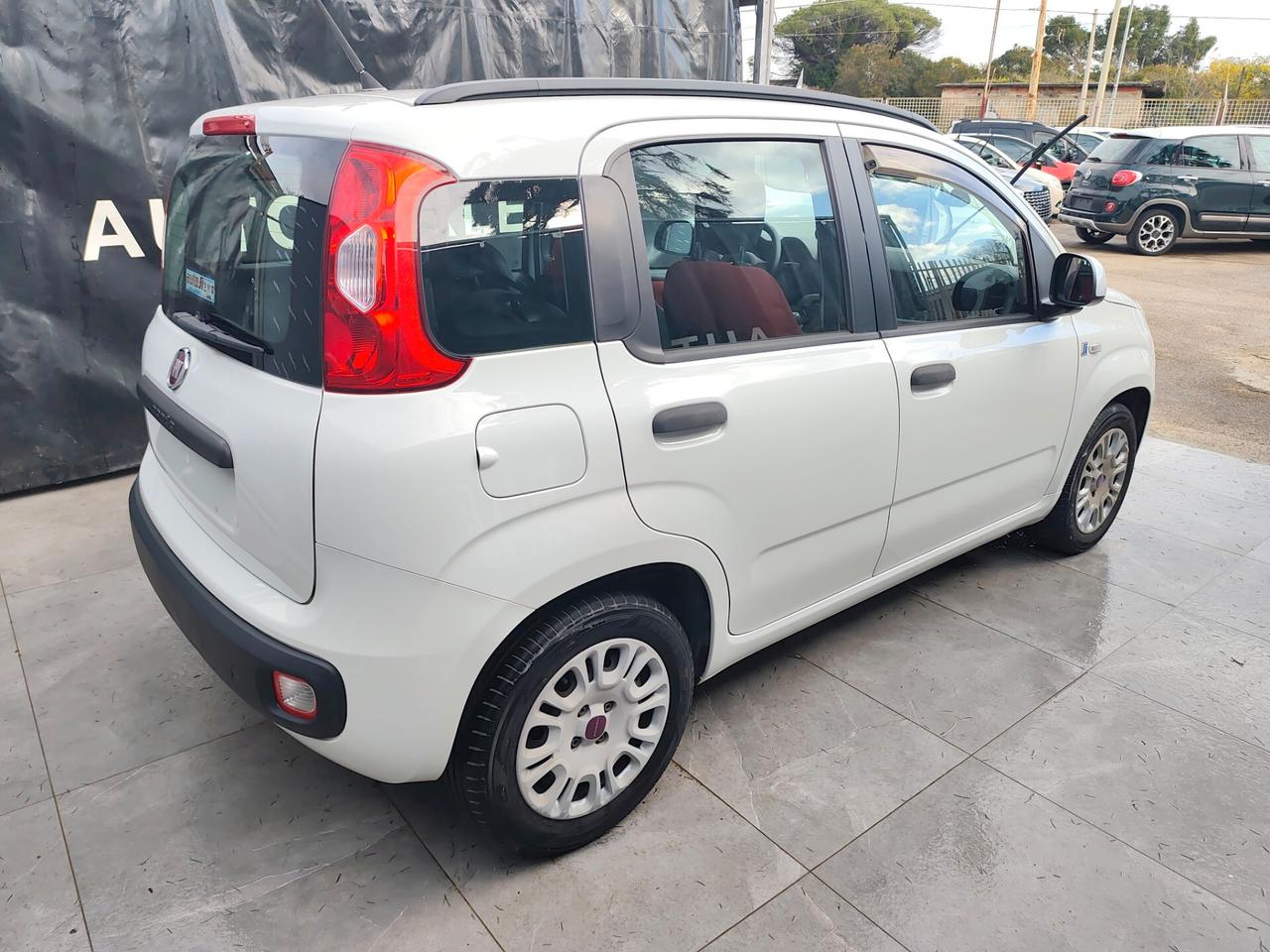 Fiat Panda 1.2 BENZINA GARANZIA 12 MESI