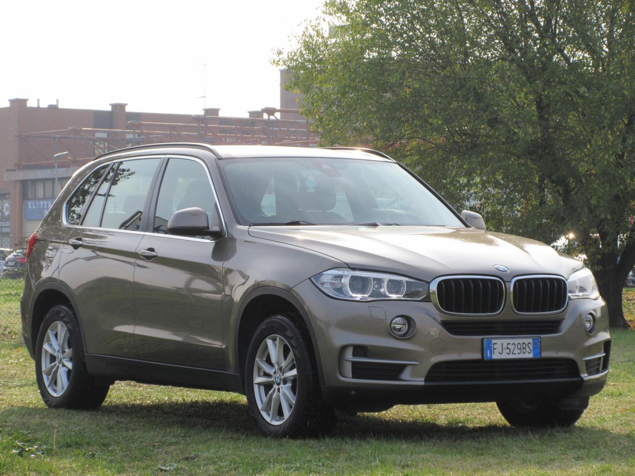 BMW X5 xdrive25d Business 231cv auto