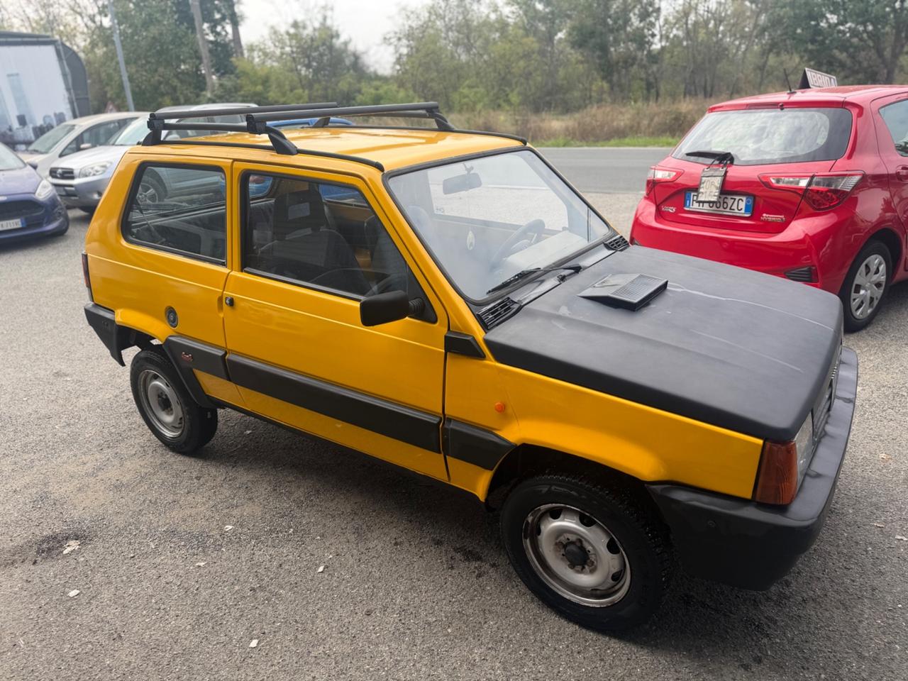 Fiat Panda 1100 i.e. cat 4x4 Trekking
