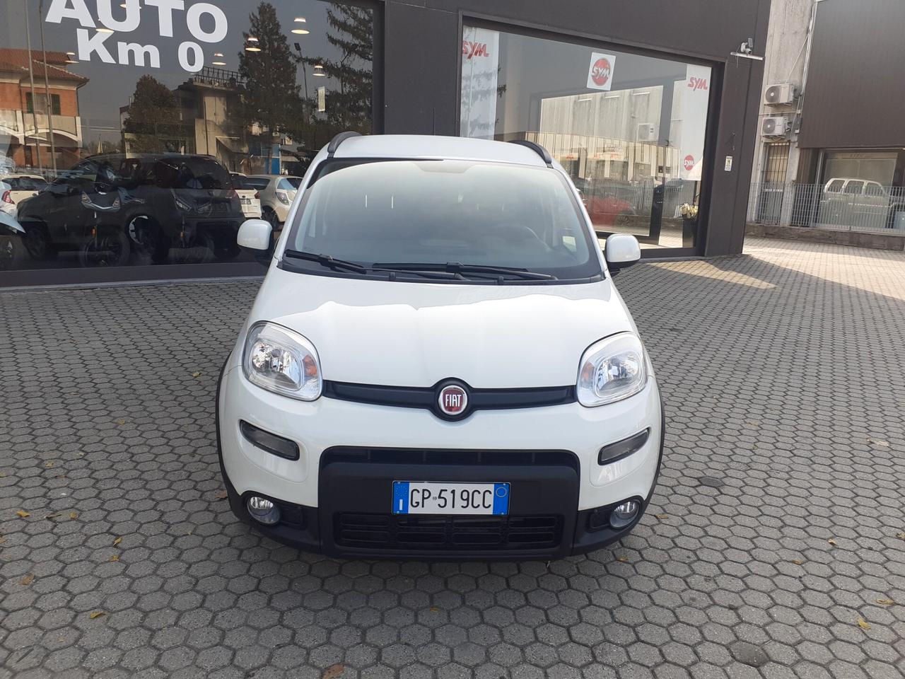 Fiat Panda 1.0 FireFly S&S Hybrid