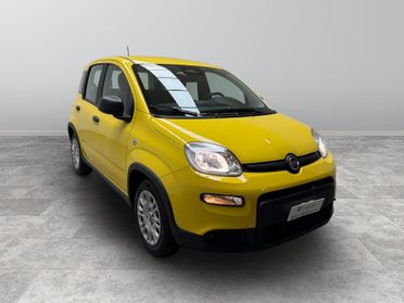 FIAT Panda III 2024 - Panda 1.0 firefly hybrid s&s 70cv