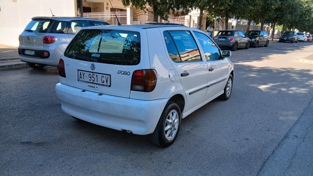 Volkswagen Polo 1.0 cat 5 porte
