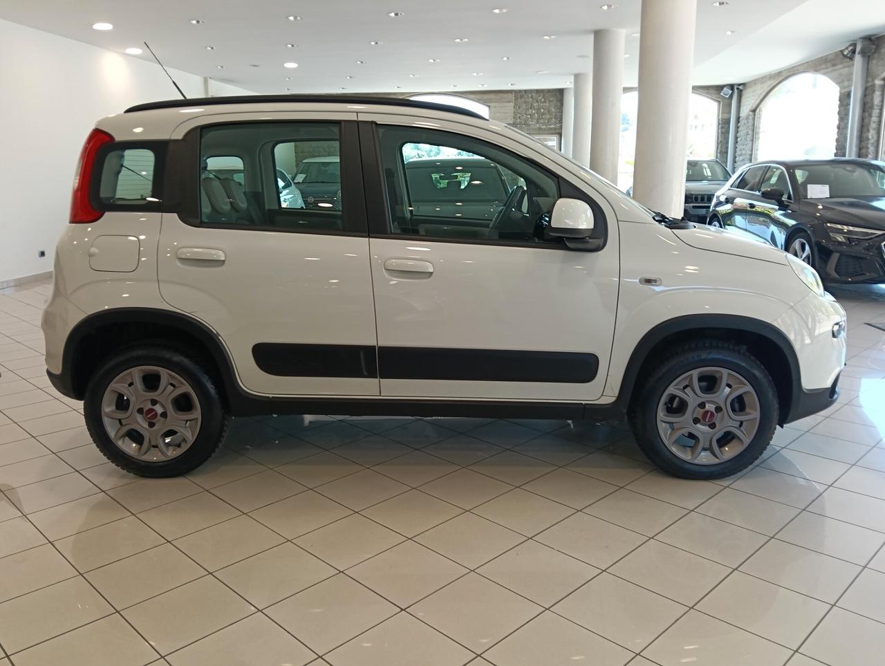 Fiat Panda 1.3 MJT S&S 4x4