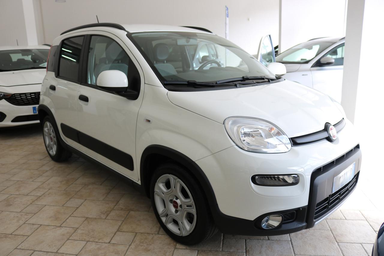 Fiat Panda 1.0 FireFly S&S Hybrid