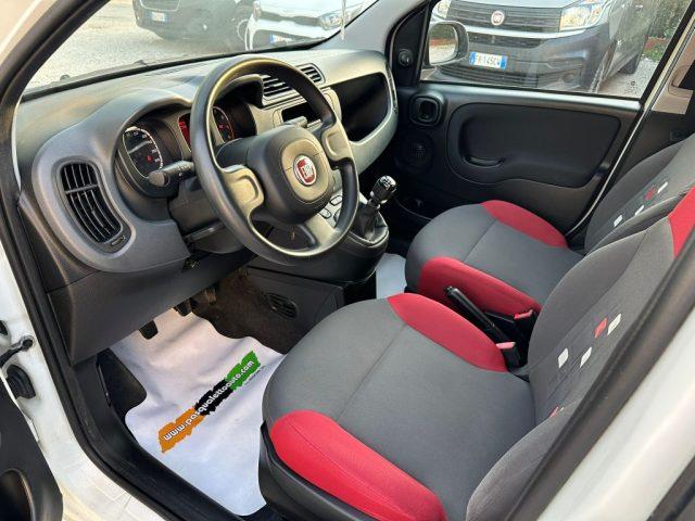FIAT Panda OK NEO PAT. 1.2 Easy