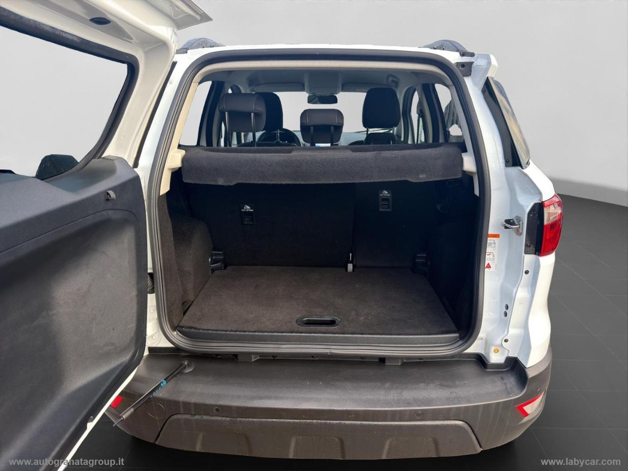 FORD EcoSport 1.5 TDCi 100 CV S&S Business PERFETTA!