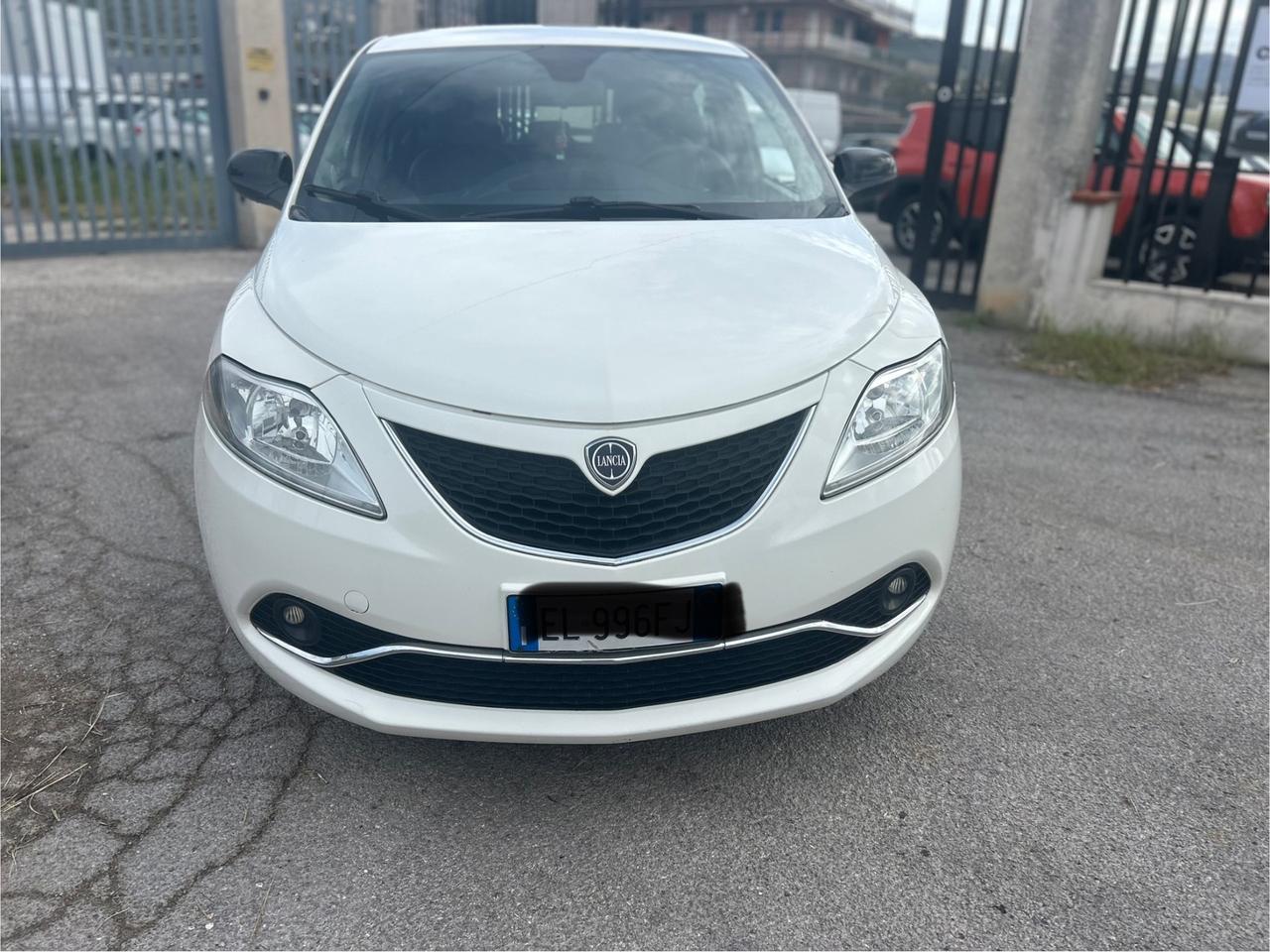 Lancia Ypsilon 1.3 MJT 16V 95 CV 5 porte S&S Platinum