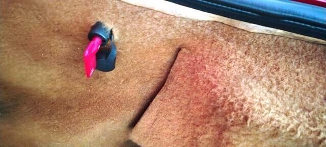 Alfa Romeo Spider 2.0i cat