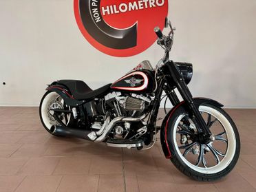 Harley-davidson Fat Boy CASTOMIZZATA