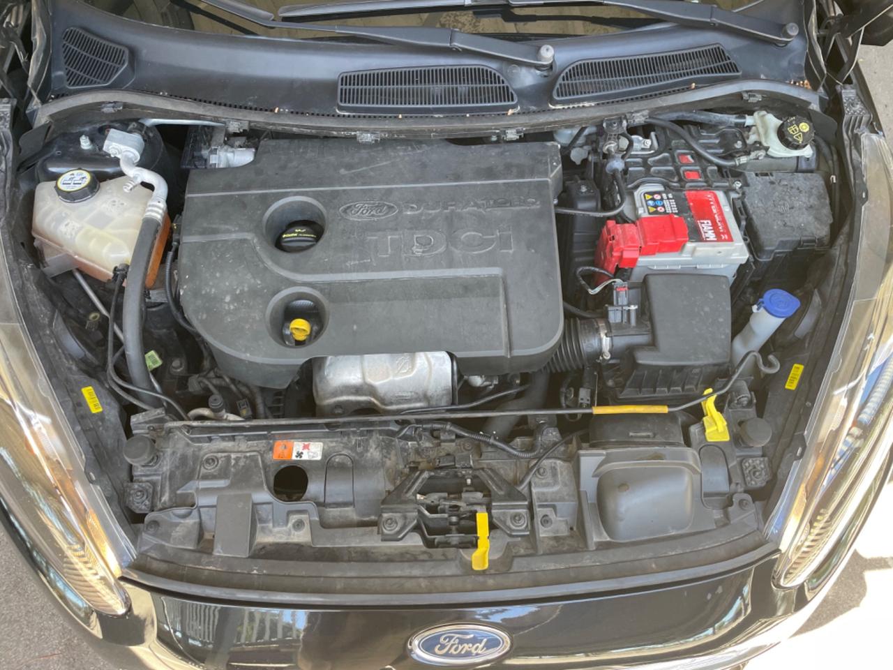 Ford Fiesta 1.5 TDCi 75CV 5 porte Titanium