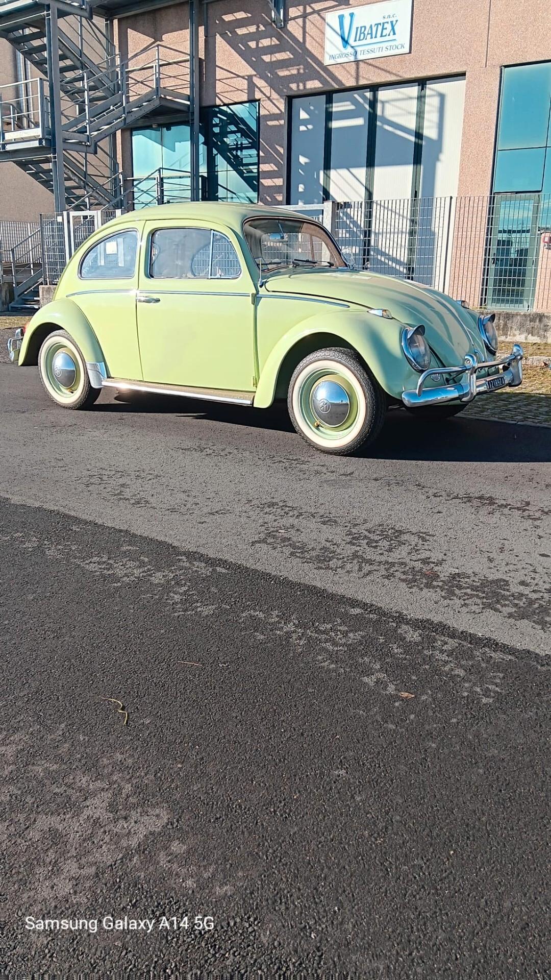 Volkswagen Maggiolino "Nasino"