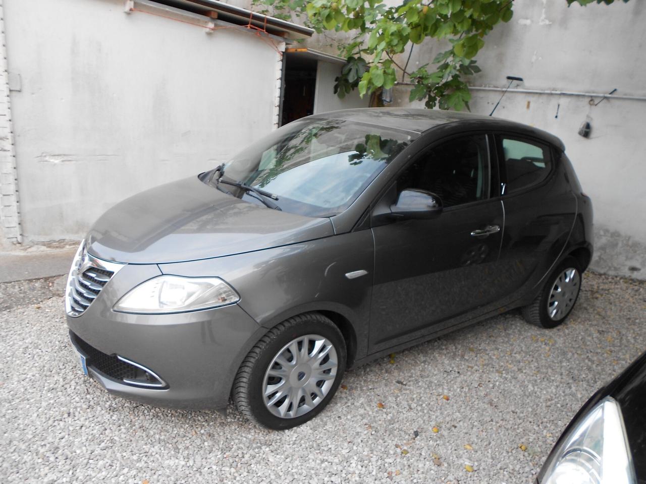 Lancia Ypsilon 1.3 MJT 16V 95 CV 5 porte S&S Platinum