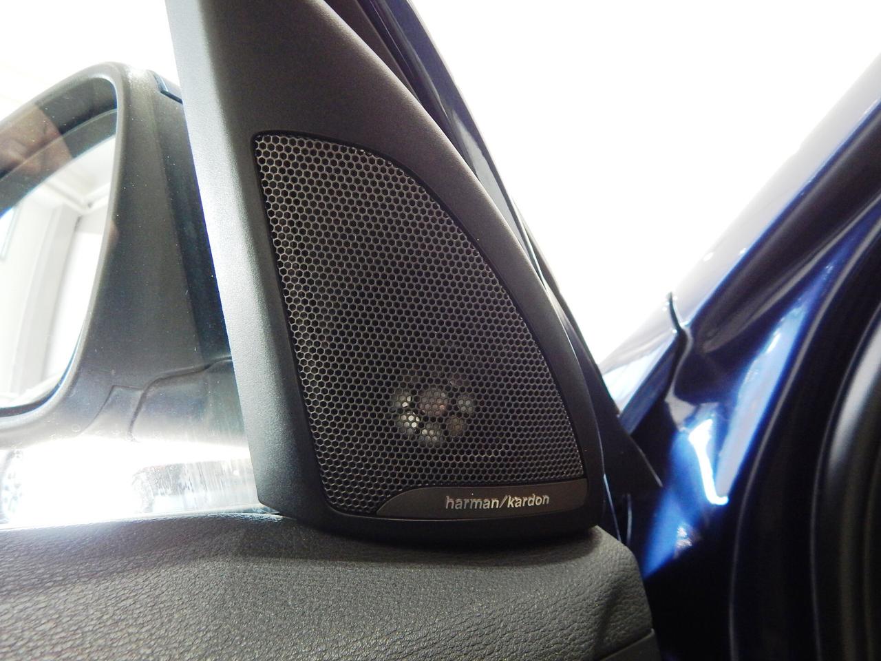 BMW X1 xdrive20d xLine Aut. TETTO-NAVI-PELLE-PARK-XENON