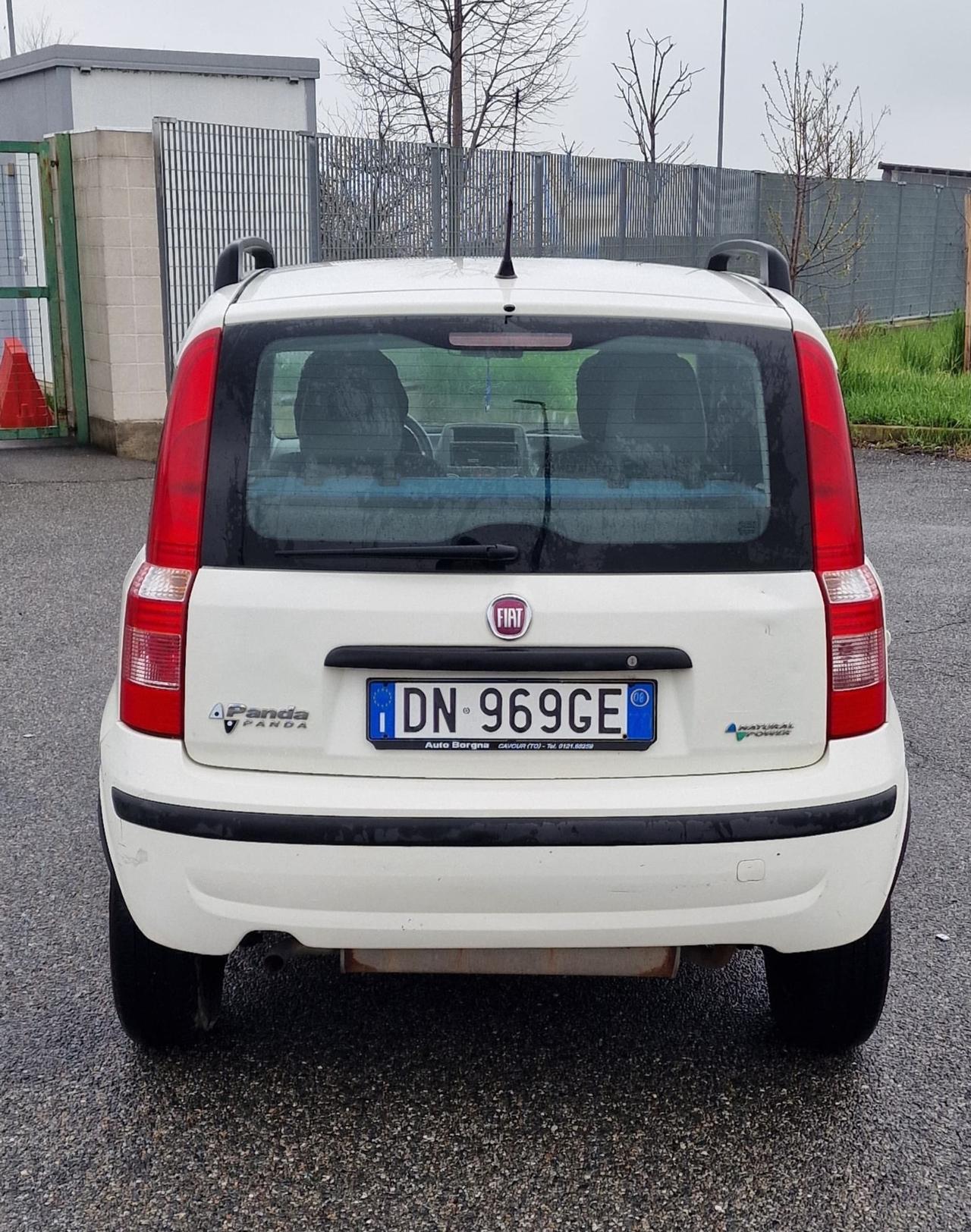 Fiat Panda 1.2 Neopatentati Oki (Su Appuntamento)