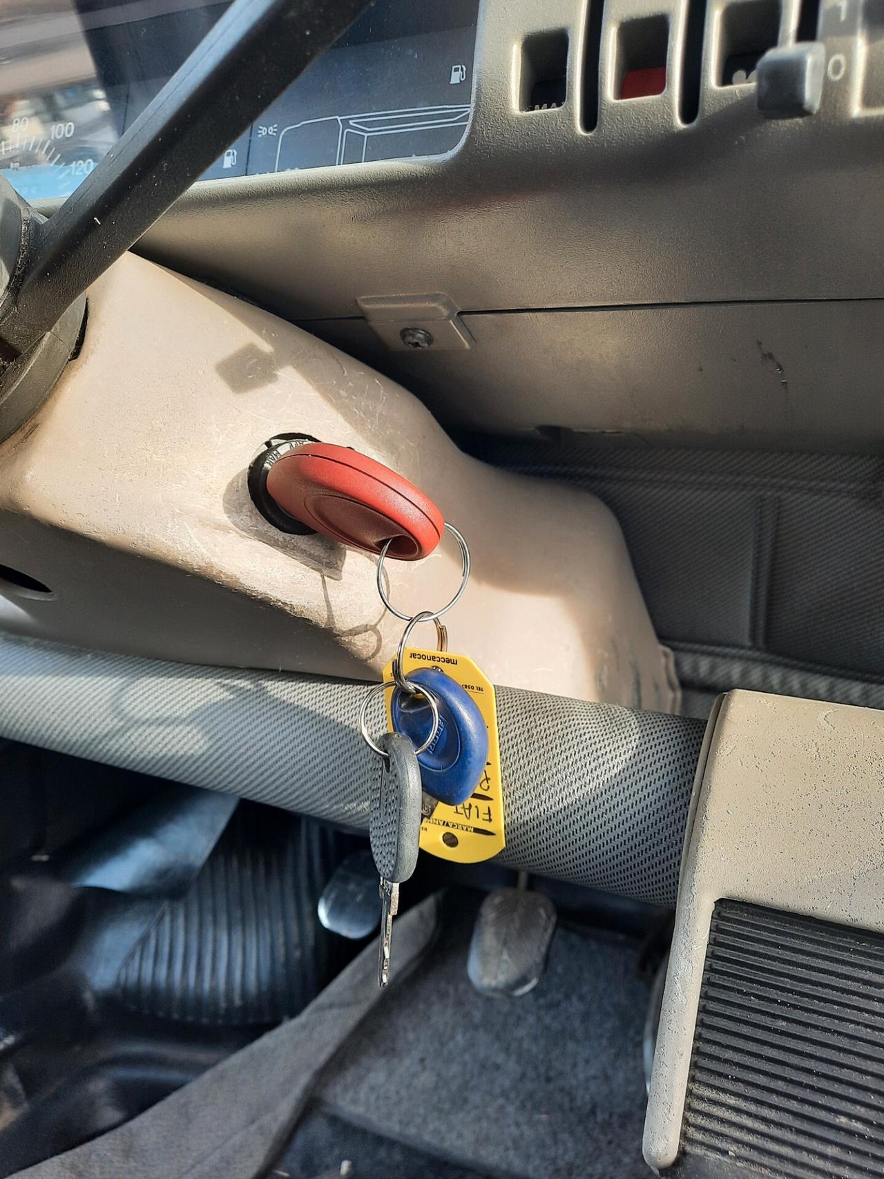 Fiat Panda 900 i.e. cat Young