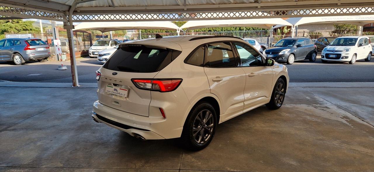 Ford Kuga 1.5 EcoBlue 120cv ST-Line X