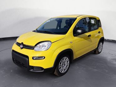 FIAT Panda NEW 1.0 70cv Hybrid Panda