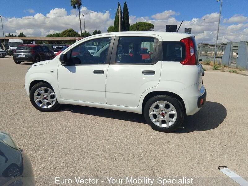 FIAT Panda Panda 1.0 FireFly S&S Hybrid Launch Edition