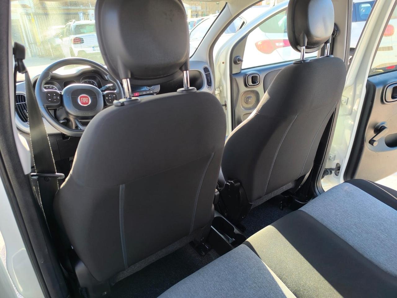 Fiat Panda Lounge 1.2 CC 69 CV 2019