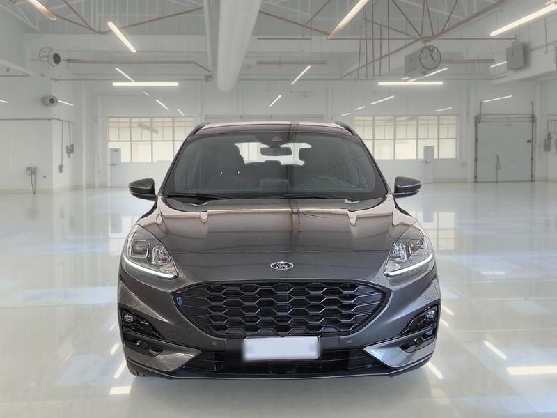 FORD KUGA 2.0 EcoBlue 120CV 2WD ST-Line Business Auto