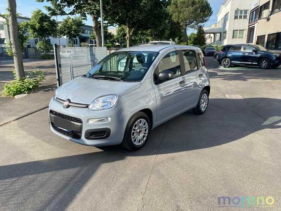 FIAT - Panda - 1.0 70 CV firefly hybrid s&s
