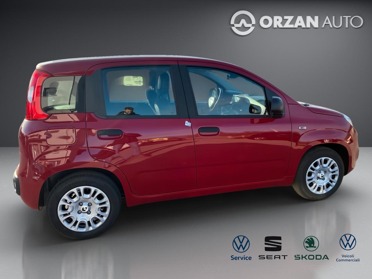 Fiat Panda 1.0 FireFly S&S Hybrid Icon CELL VENDITE 3491558563 - 3478673115