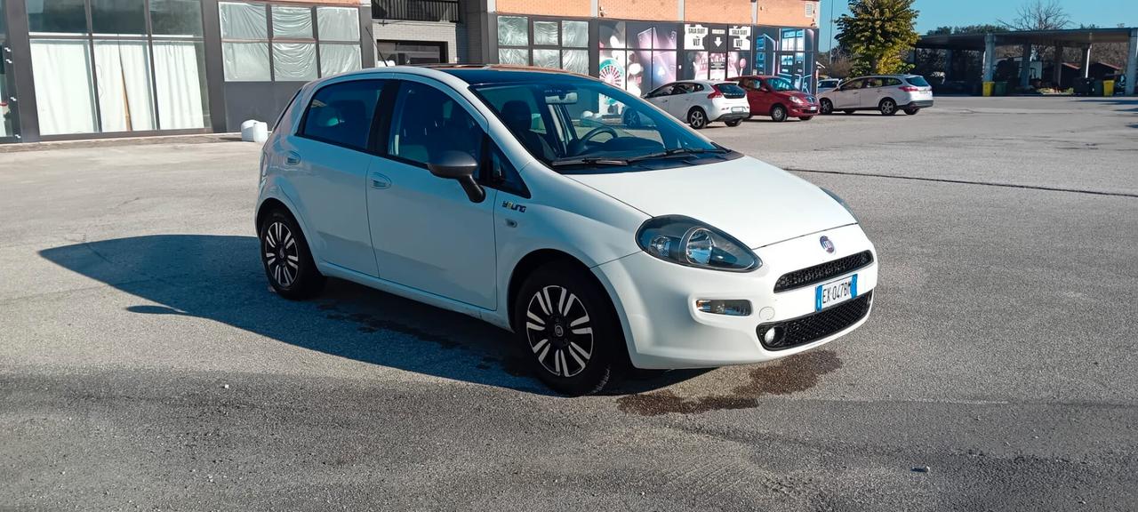 Fiat Punto 1.3 MJT II 75 CV 5 porte Lounge