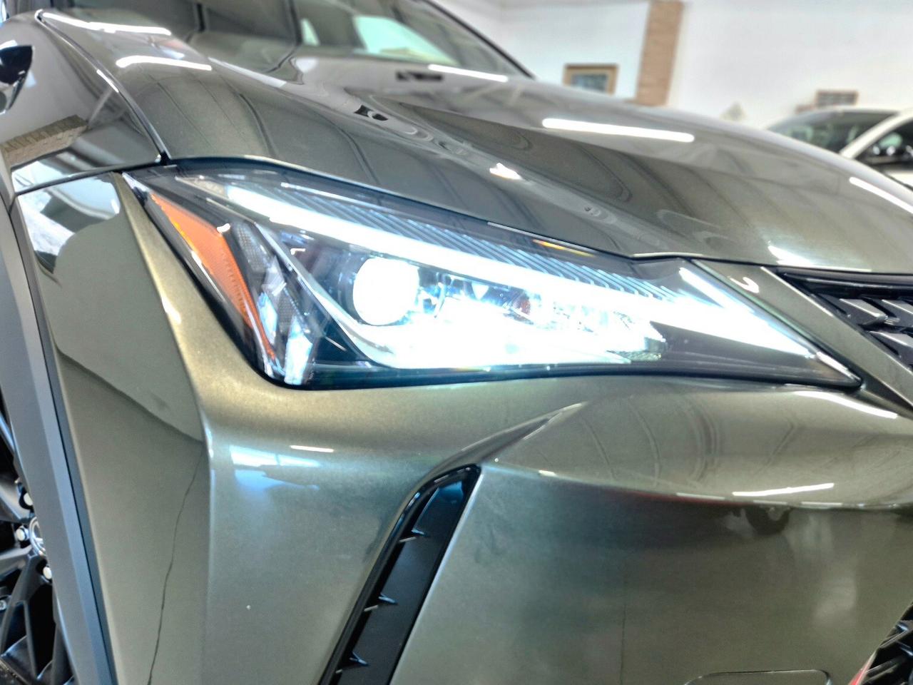 Lexus UX Hybrid Business