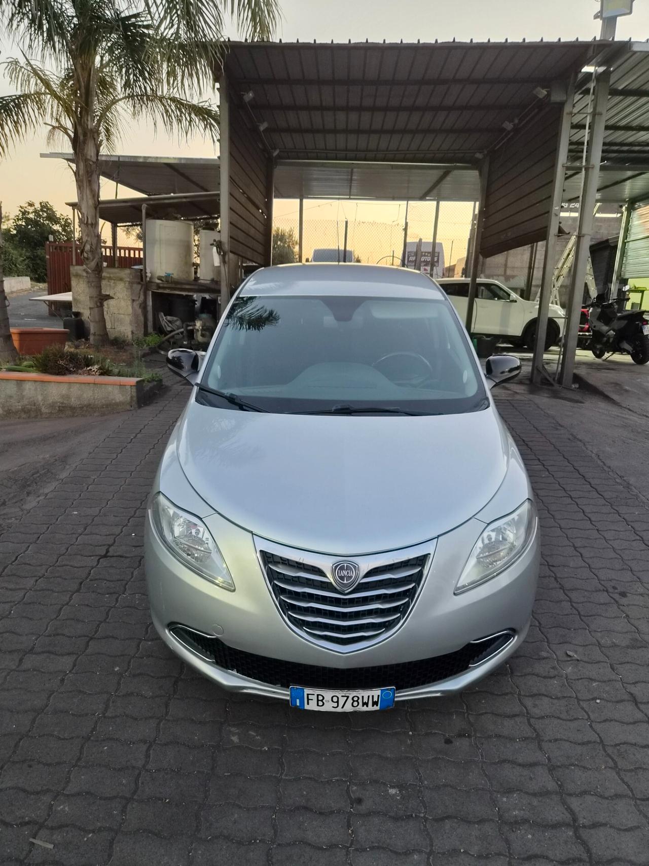 Lancia Ypsilon 1.2 69 CV 5 porte Platinum