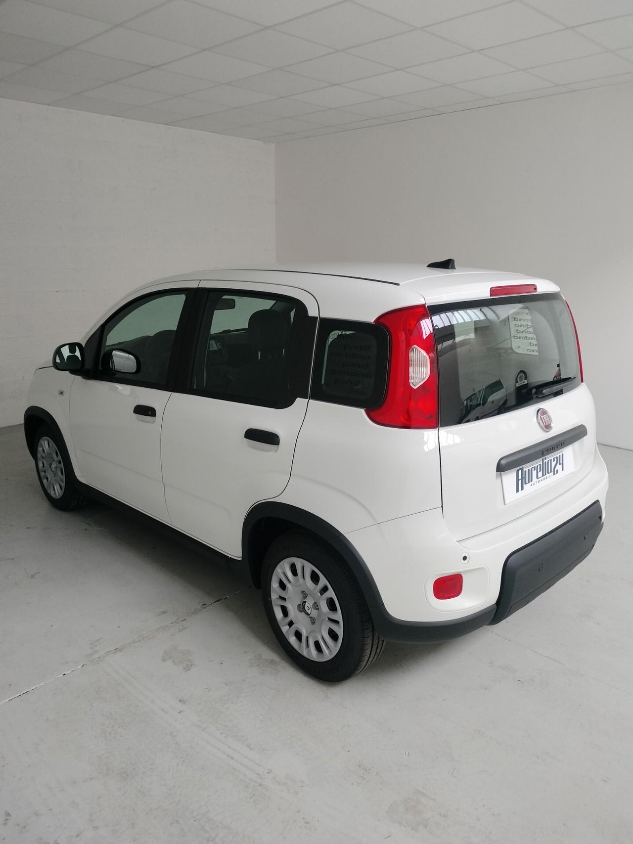 Fiat Panda PANDINA 1.0 FireFly S&S Hybrid NEOPATENTATO