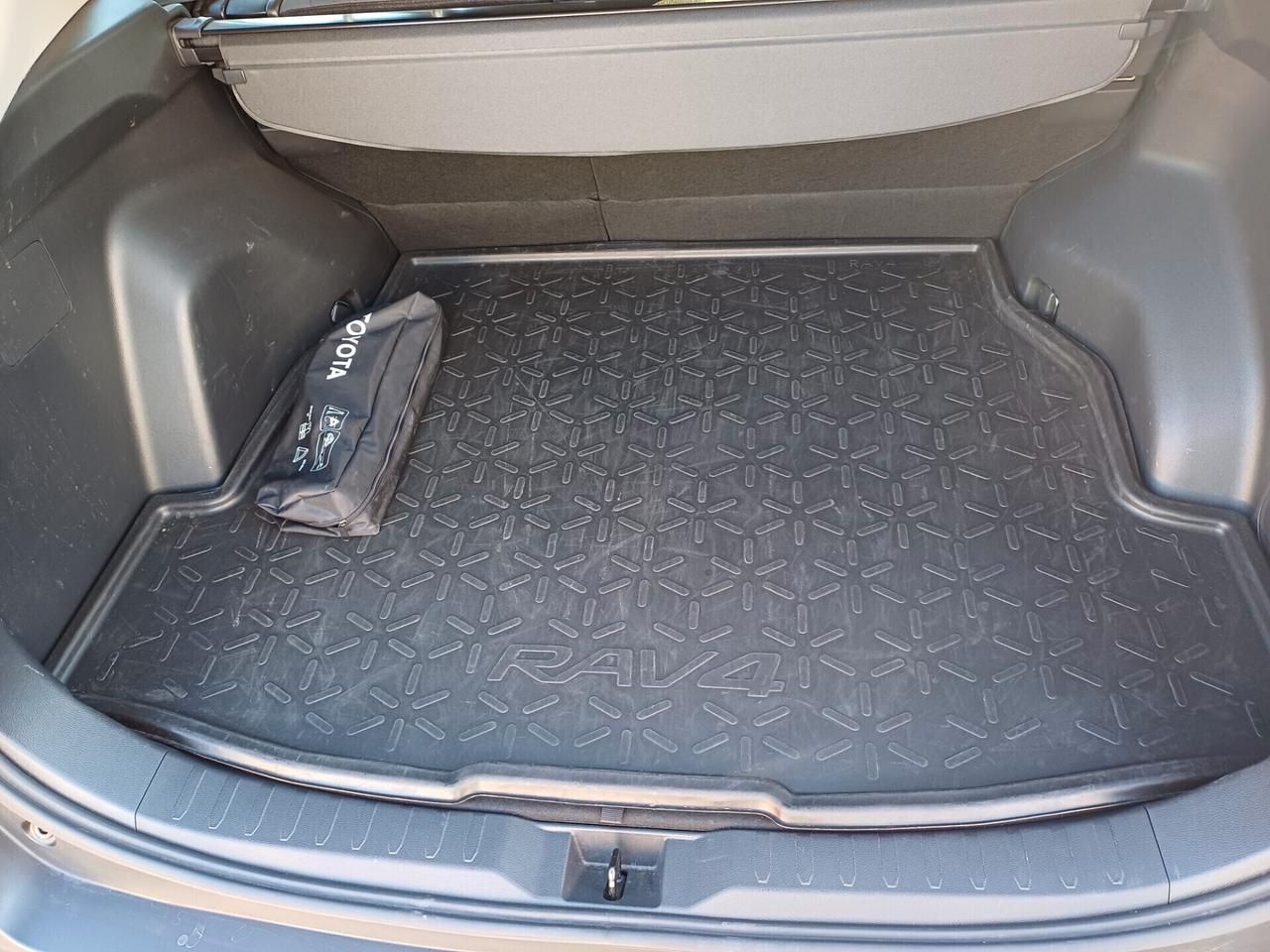 Toyota RAV 4 RAV4 2.5 HV (222CV) E-CVT AWD-i Active