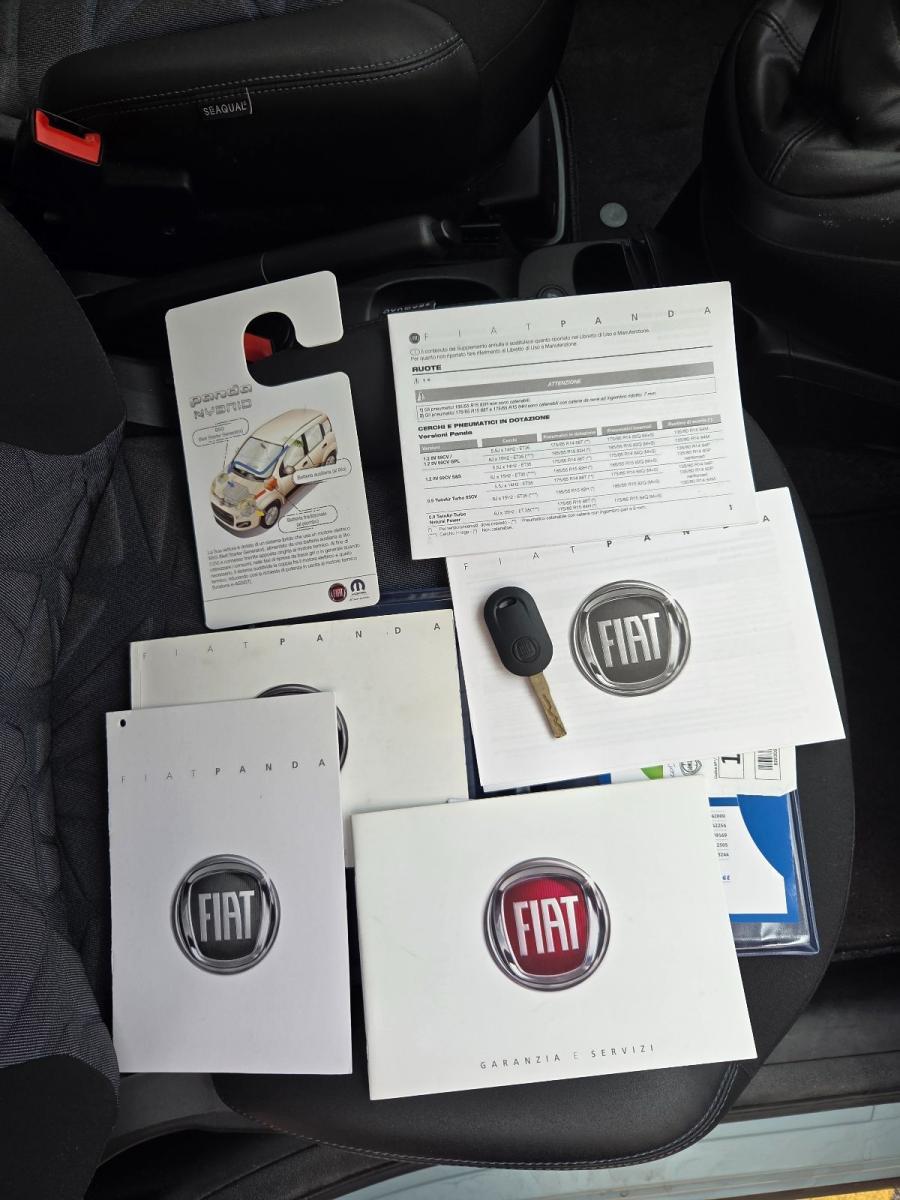 FIAT - Panda - 1.0 FireFly S&S Hybrid Launch Ed.